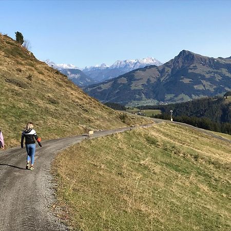 شقة Ellmauer Auszeit المظهر الخارجي الصورة